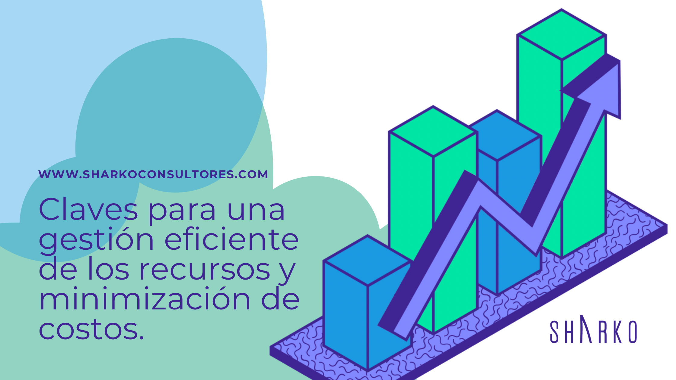 Infografía sobre las claves para una gestión eficiente de los recursos